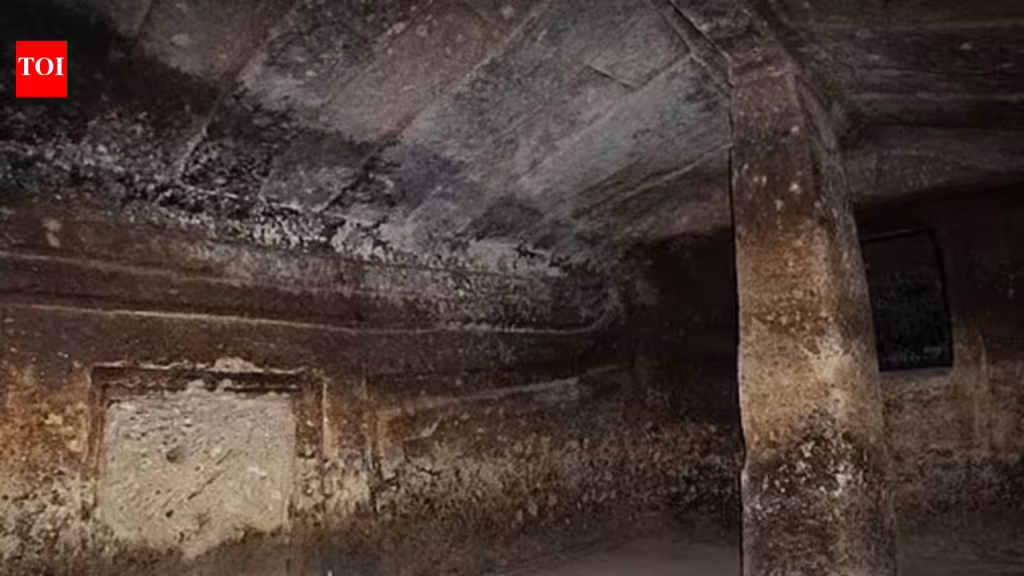 Archaeologists discover 5,000-year-old hidden 'fairy houses' in Italy, now a UNESCO site world News