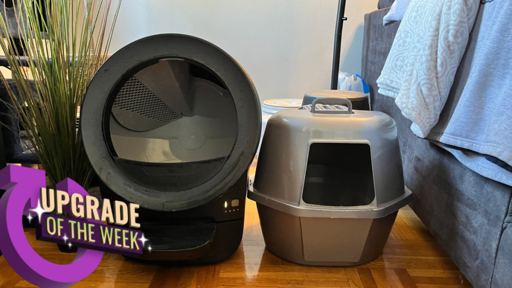 I started self-cleaning the litter boxes in my house, and I wish I had done it sooner