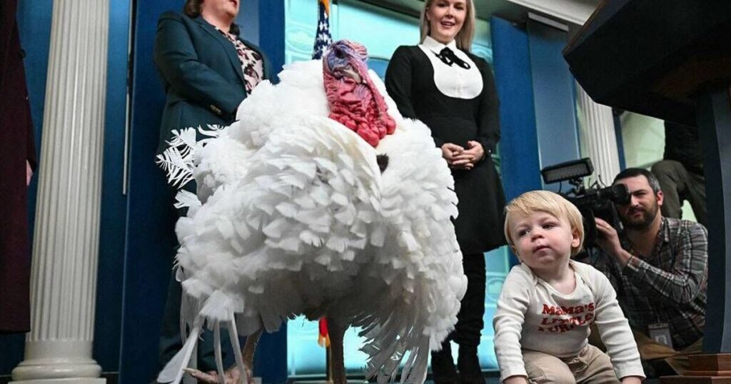 'Obnoxious' Caroline Leavitt photo removed from Internet after White House meltdown world | news