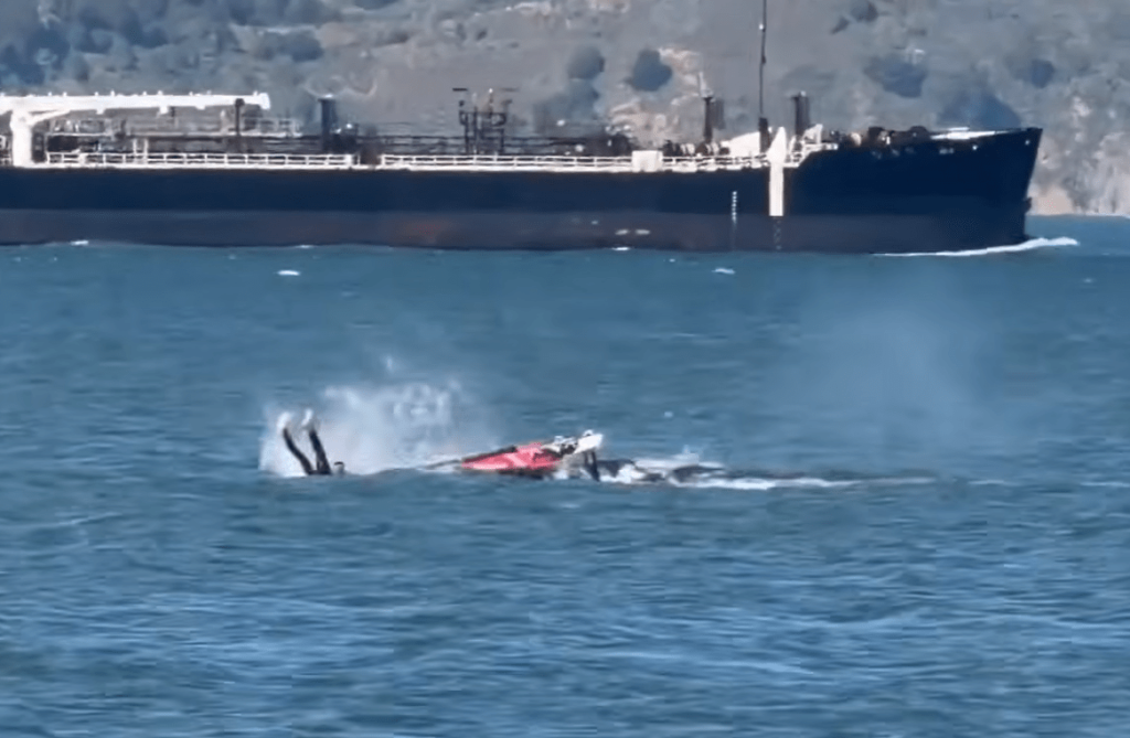 Shocking moment a speeding windsurfer collides with a giant whale and is thrown from his board and falls headlong into the water