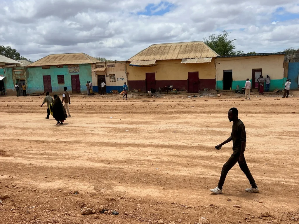 Somali forces capture key city in south-west after state leader resigns military news