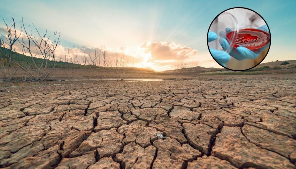 Study finds superbugs on the rise as antibiotic resistance increases due to climate change