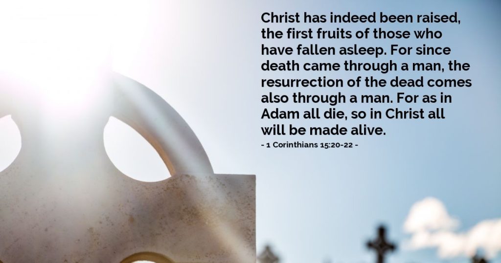 1 Corinthians 15:20-22 — Verse of the Day for 04/19/2026