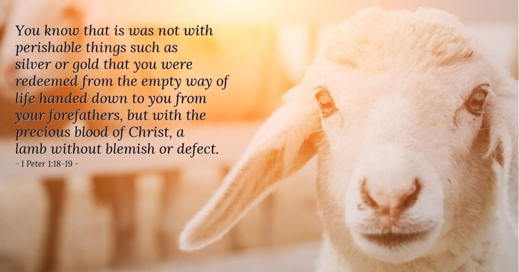 1 Peter 1:18-19 — Verse of the Day for Friday, April 24, 2026