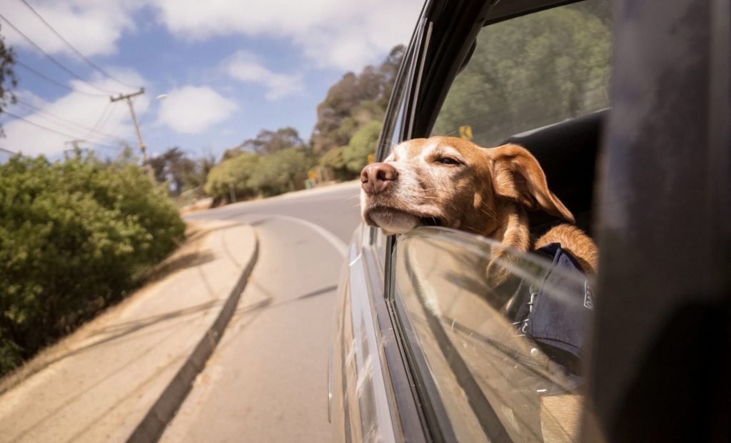 Have a relaxing weekend. | cup of joe