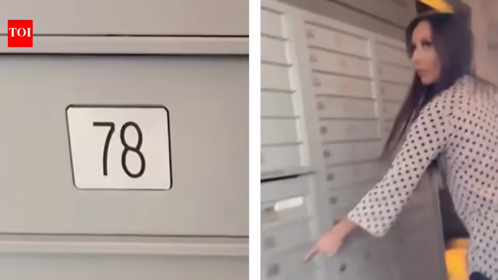 7 H-1B workers inside a mailbox: US reporter claims 'fraud' involving software engineers in Texas