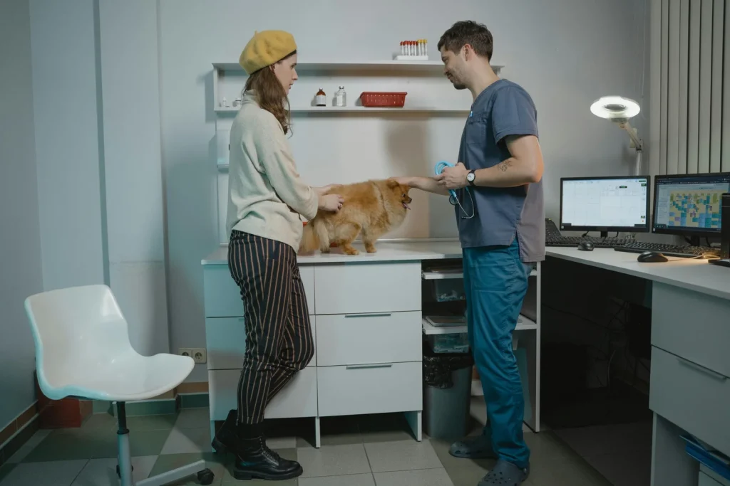 7 reasons why Petbook is the leading veterinary clinic in Dubai for 2026 -