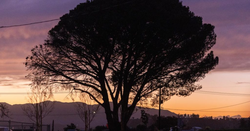 Angry Altadena residents ask officials to stop Edison underground work