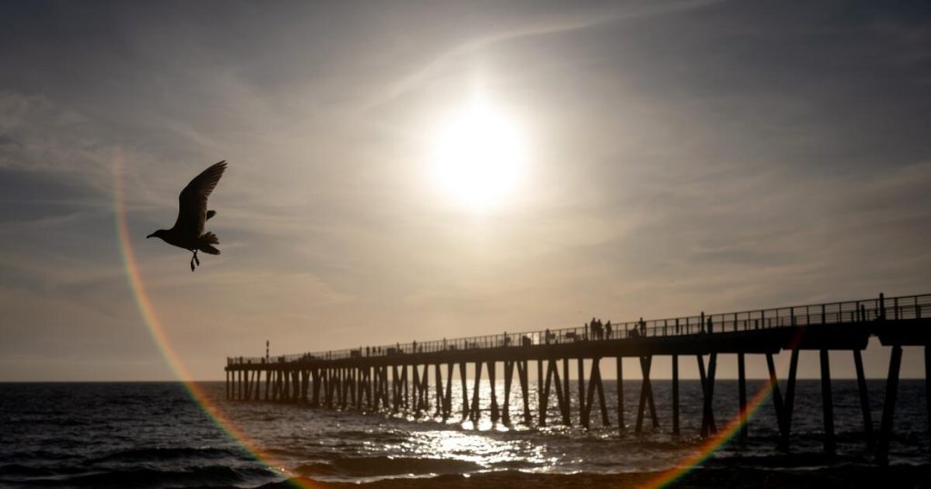 California's ocean keeps breaking heat records