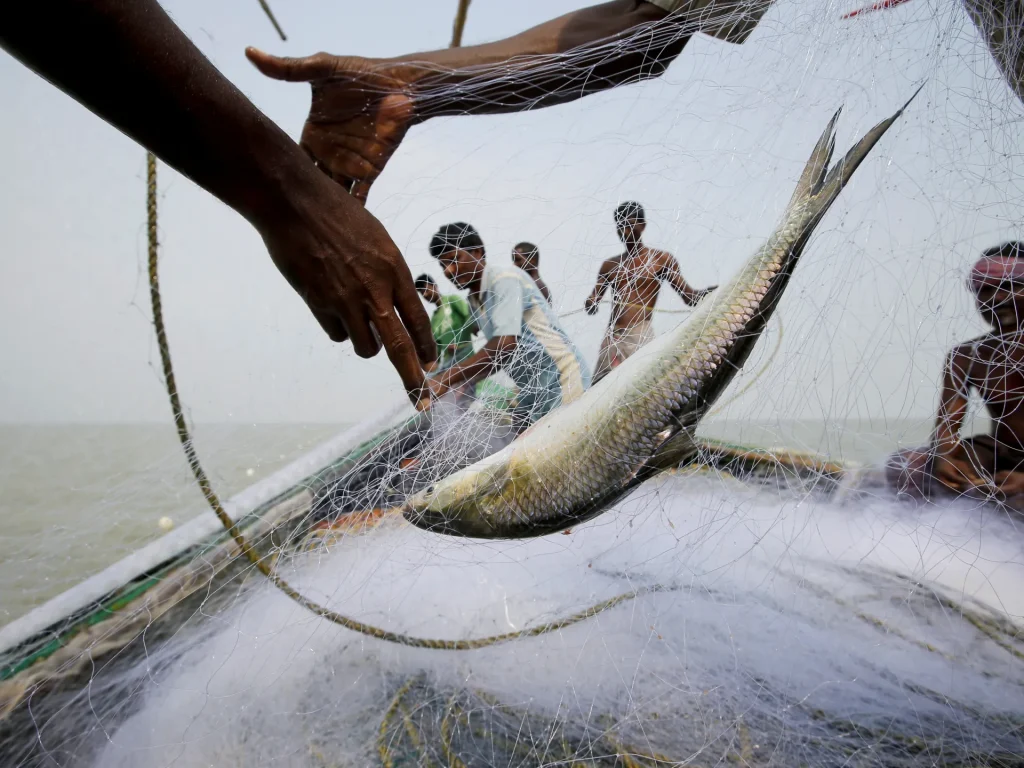 Can fish trap voters in India's West Bengal elections? | election news