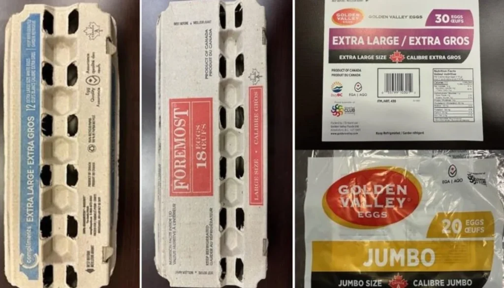Canada issues egg recall over salmonella risk associated with liquid egg products sold