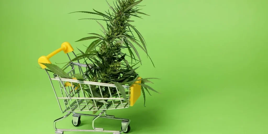 Cannabis Market Changes: 4/20 Reality Check for Investors