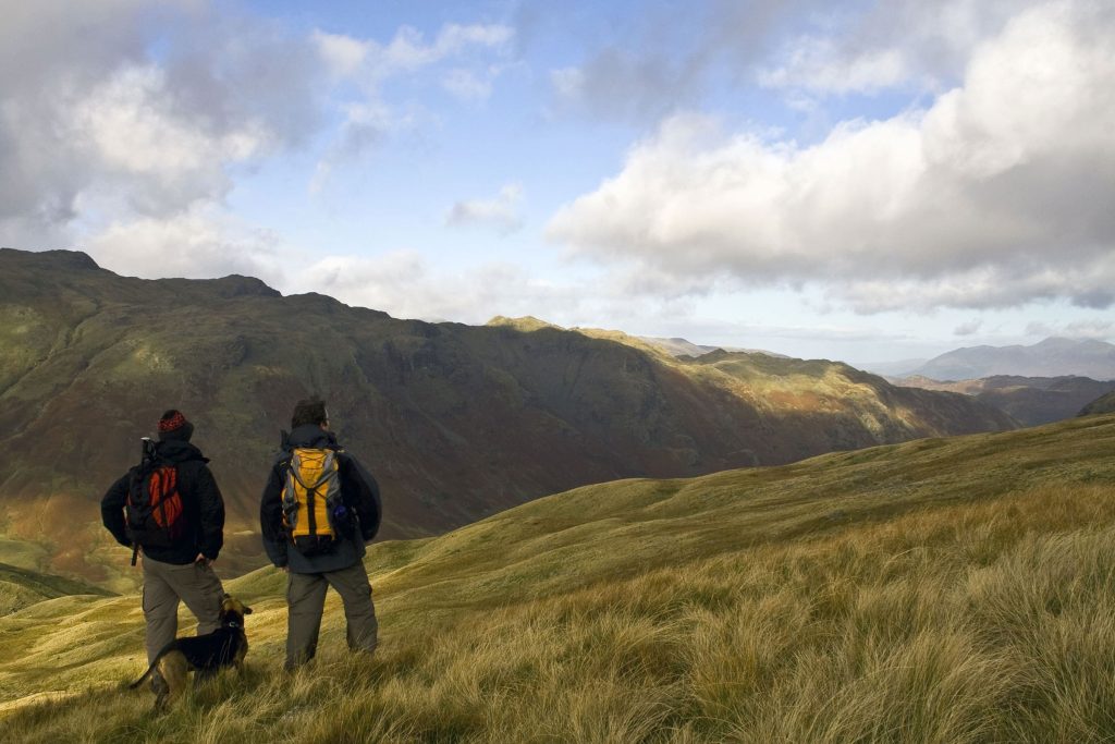 Entertainment (23 April)