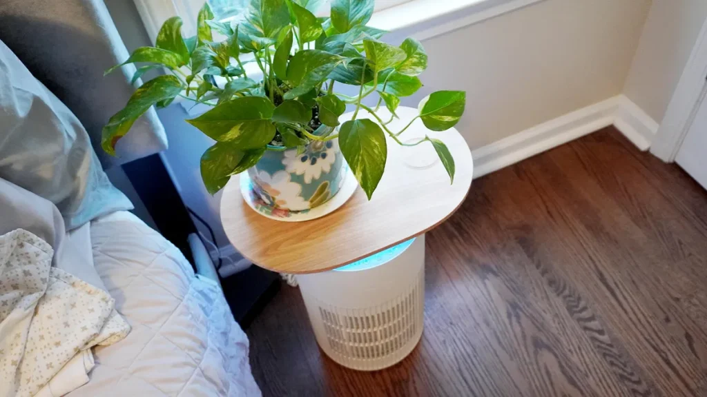 How my smart home became my best defense against brutal spring allergies — and pollen
