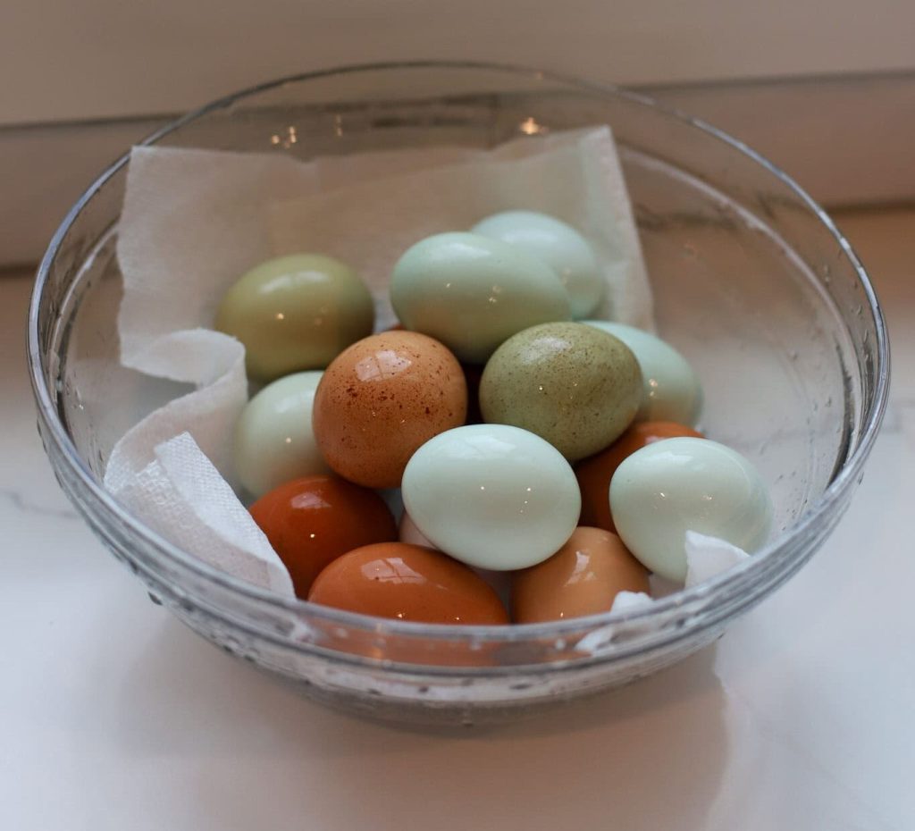 How to Store Farm Fresh Eggs