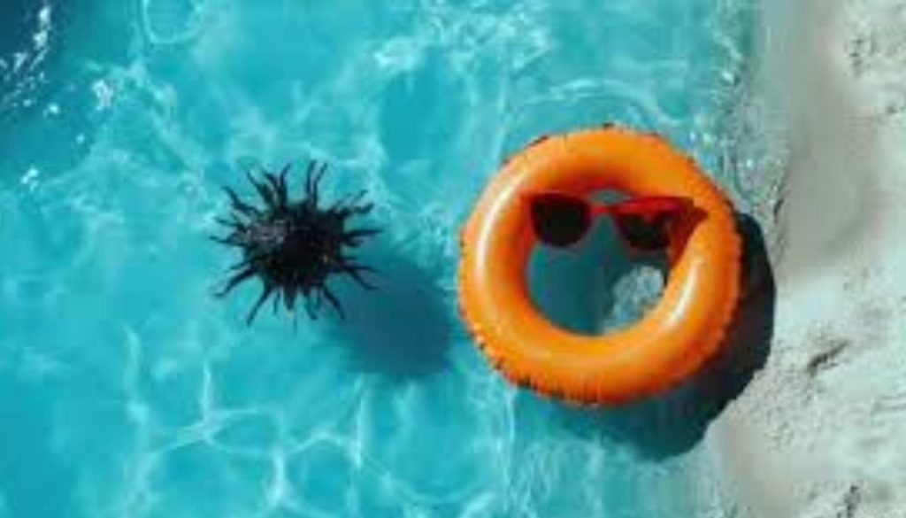 How warming Atlantic waters are fueling deadly bacteria expansion