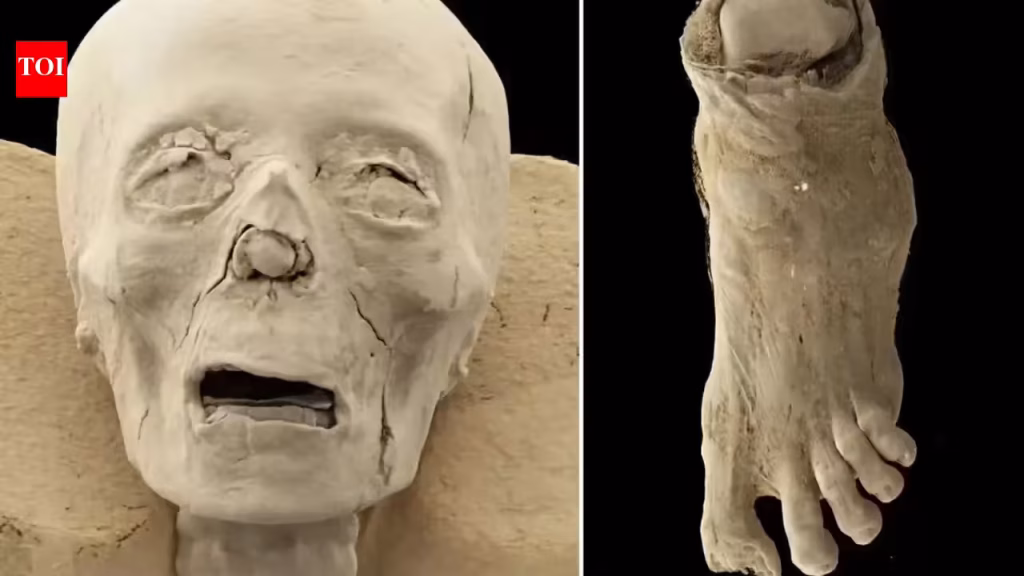 Inside 2,300-year-old Egyptian mummies: CT scans reveal skulls, disease and a mysteriously missing toe