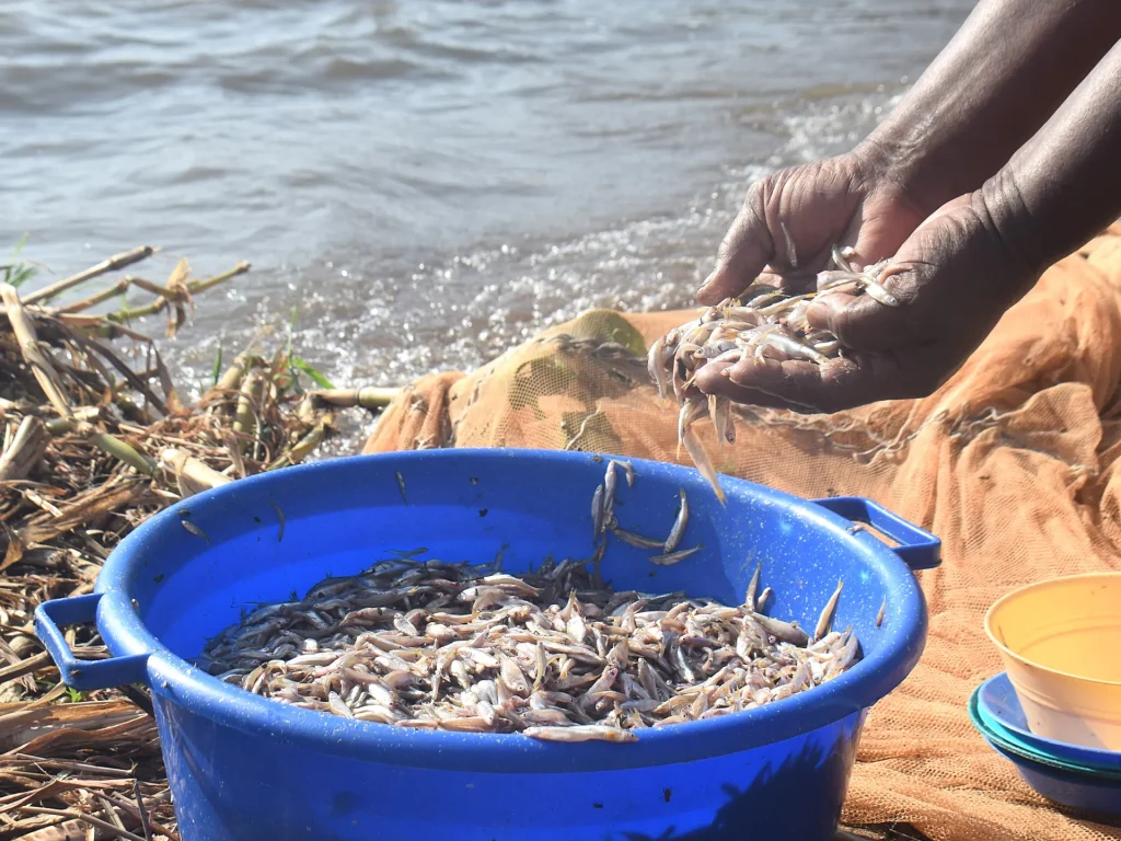 Kenyan women break fishing taboo as climate change threatens Lake Victoria women news