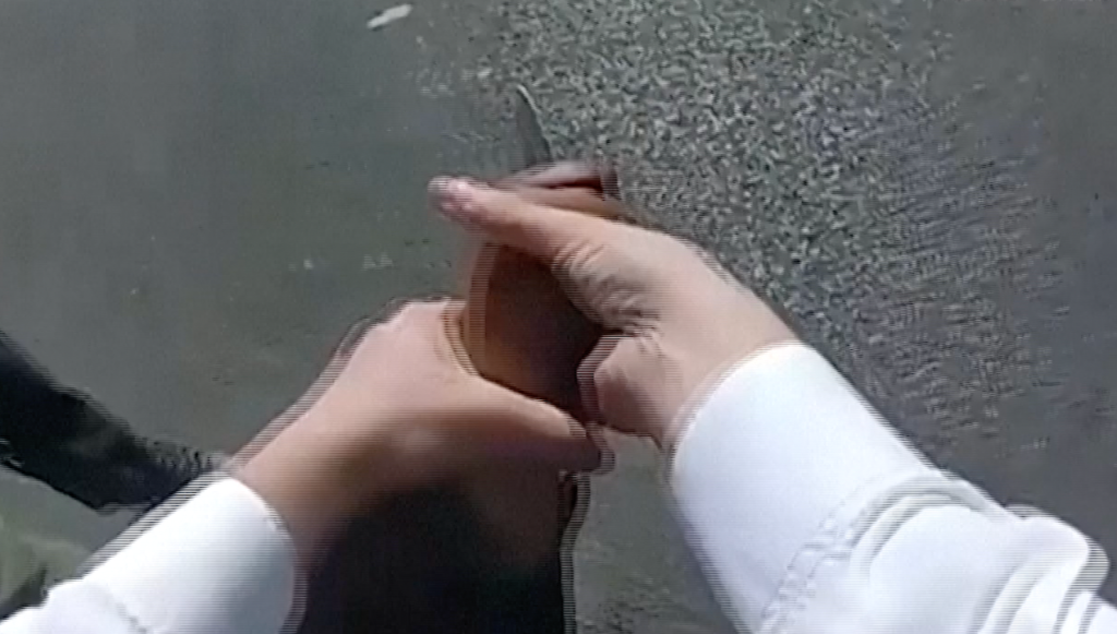 London police release bodycam of arrest after two Jewish men were attacked with knives. Police