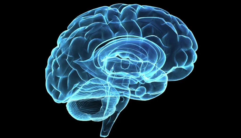 New aging brain study reveals single protein behind cognitive decline and potential reversal