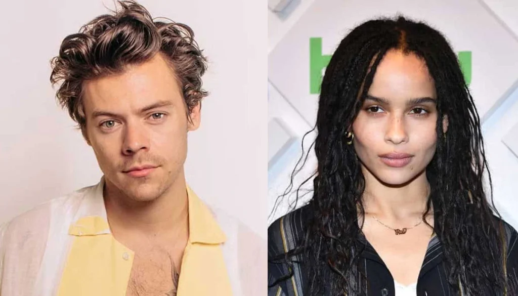 'One Direction' Alum Harry Styles, Zoe Kravitz Engaged?