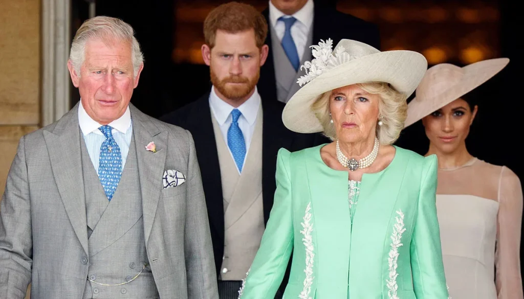 Prince Harry worried Queen Camilla could hinder reunification with King Charles