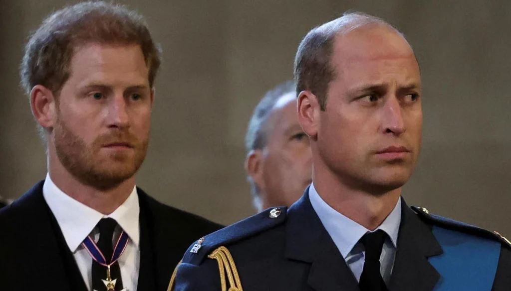 Prince William's role in the spotlight amid Harry's comeback plans