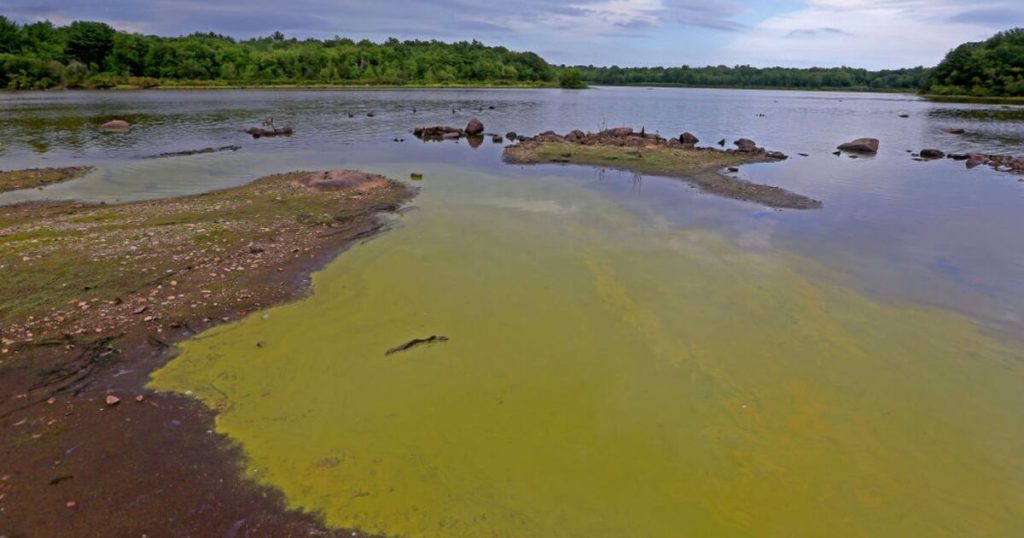 Scary flesh-eating bacteria found hiding in New York waters – victims can die within hours world | news