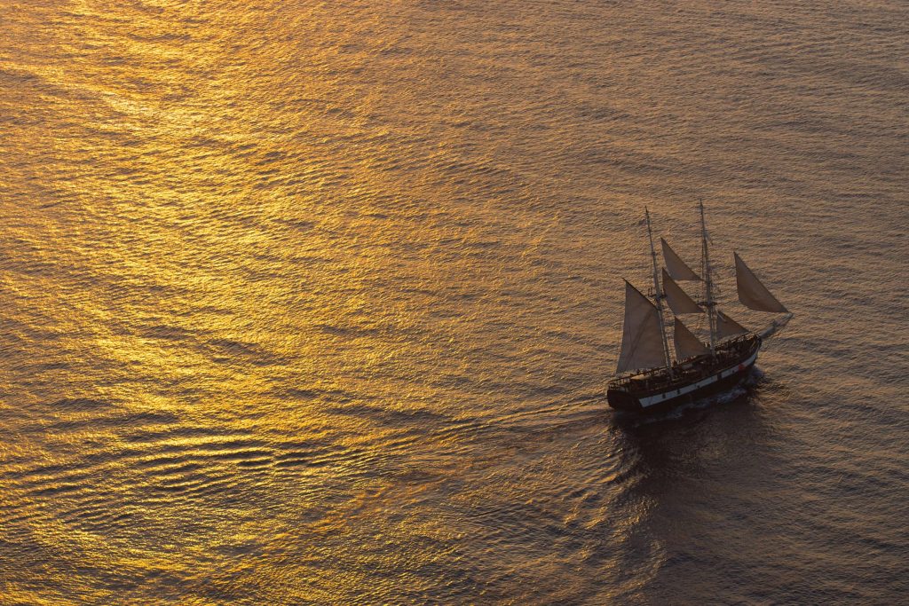 Set of Our Pals (April 27)