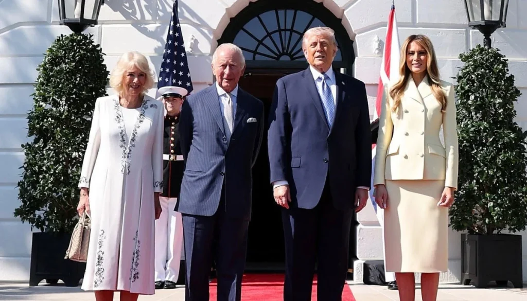 Shailene Woodley calls Lindsay Lohan 'real chic' in honest confession