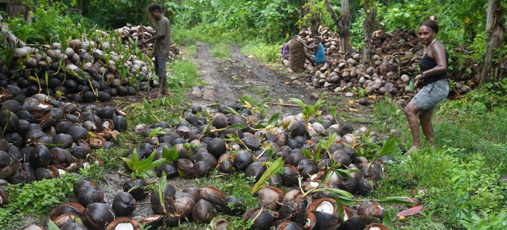 South Pacific islanders trying to save their home from toxic legacy - Global Issues