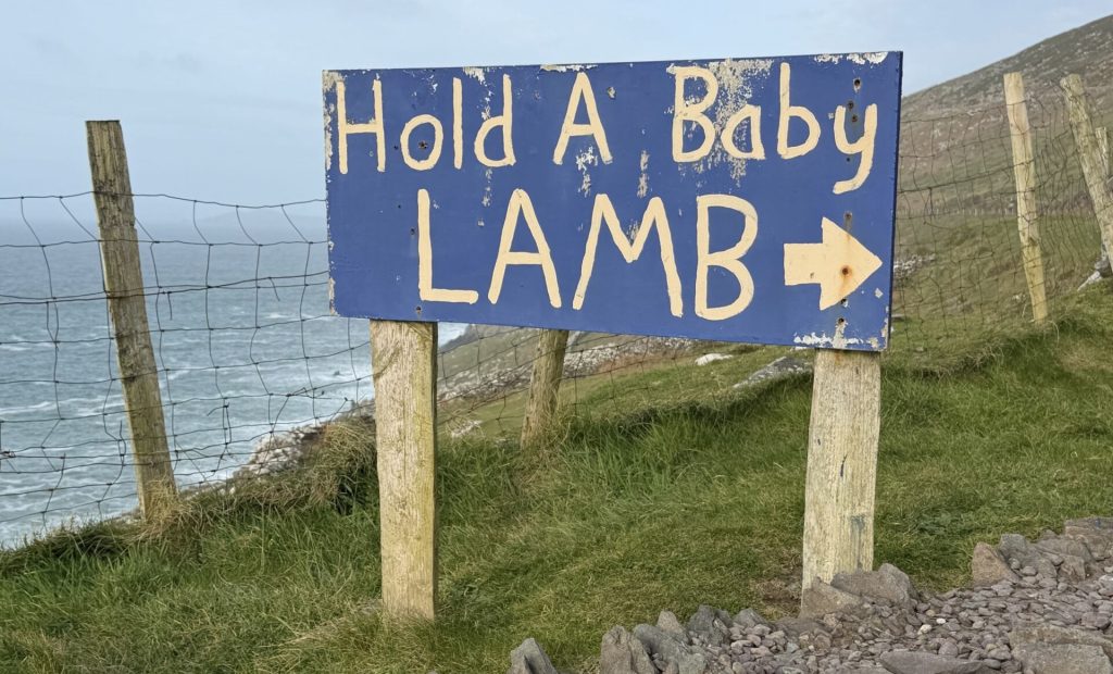 Tell me something sweet. | cup of joe