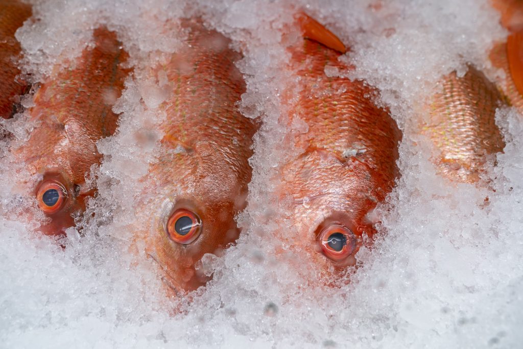 The fight for control of the iconic Florida fish heats up.