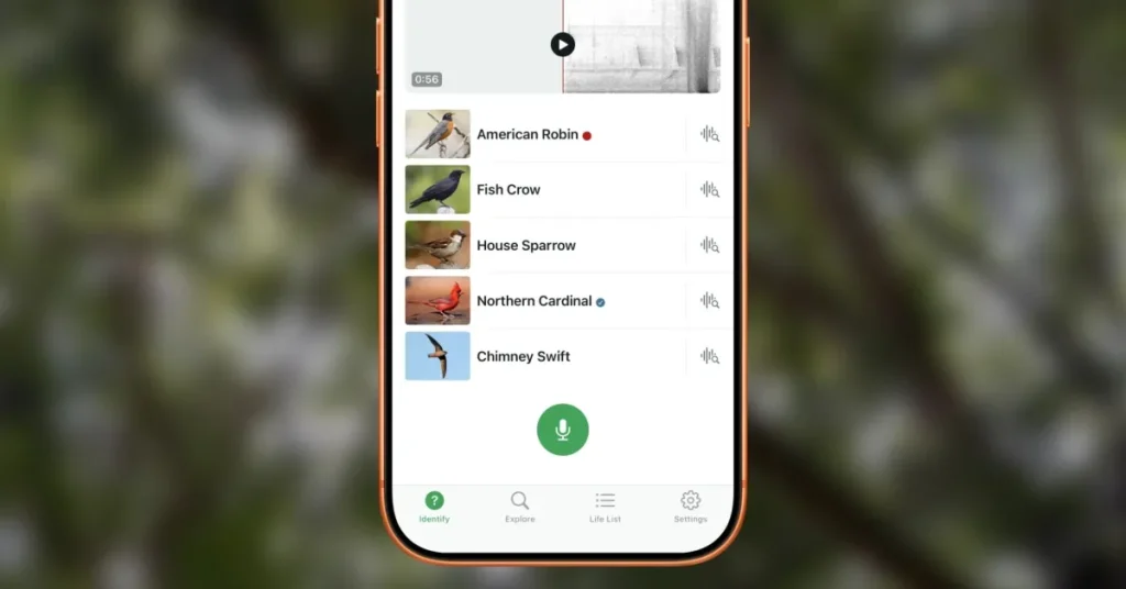 This free iPhone app from Cornell answers nature's greatest springtime mystery