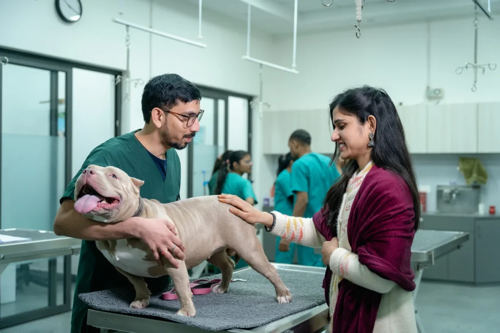 Top Animal Hospitals in Dubai for Advanced Pet Treatment 2026 –