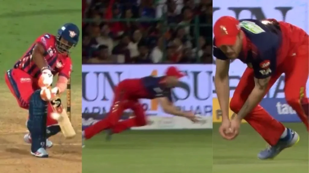 Tournament catch? Phil Salt took a brilliant catch to dismiss Rishabh Pant in the RCB vs LSG match.