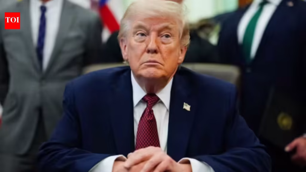 US court blocks Trump's order suspending asylum access, cites right to apply