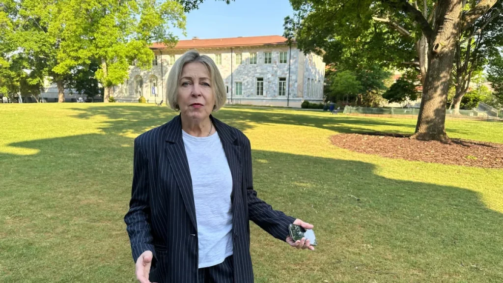 US professors sue university over arrests during pro-Palestine protests Israel-Palestine conflict news