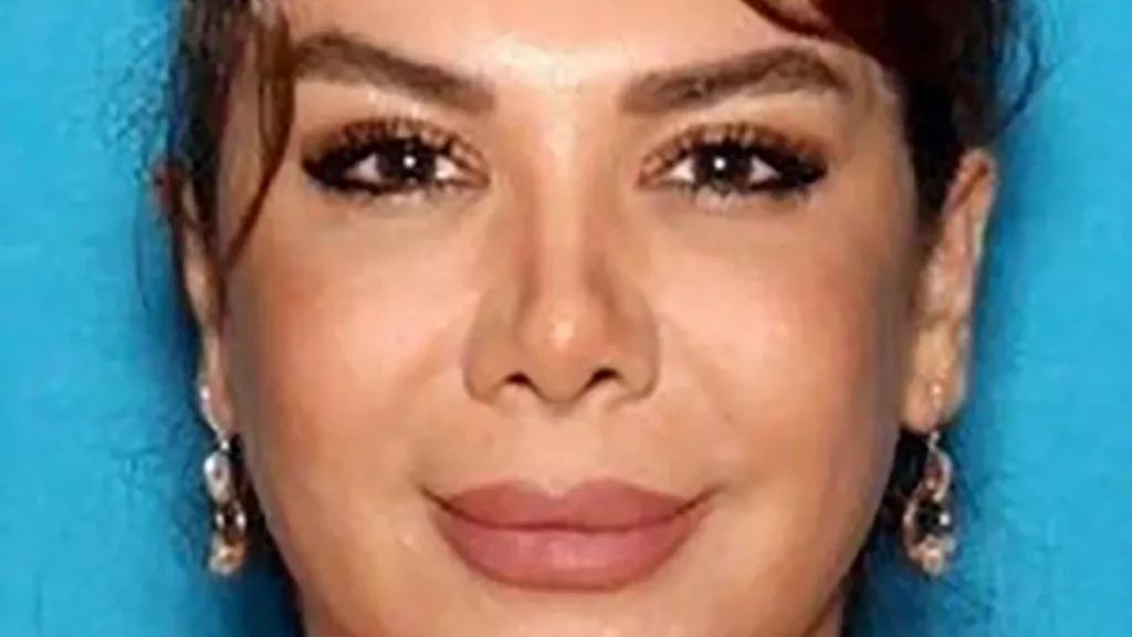 US woman accused of smuggling weapons to Sudan for the Iranian government. news