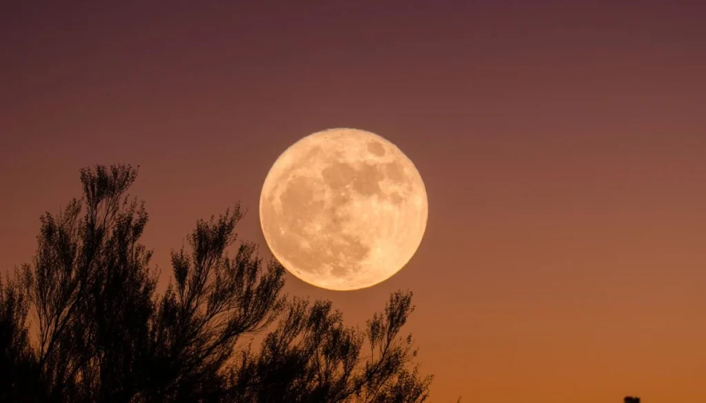 What will happen if the moon disappears tomorrow?