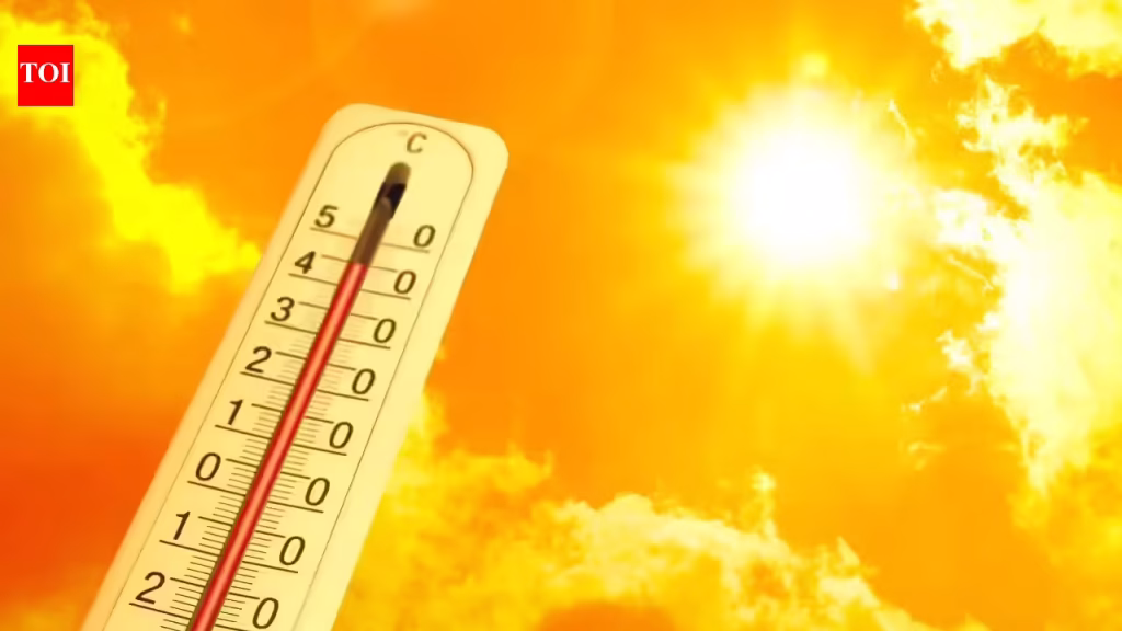 World's hottest cities: India has turned into a scorching furnace and the temperature in cities has reached 46 degrees Celsius. World News