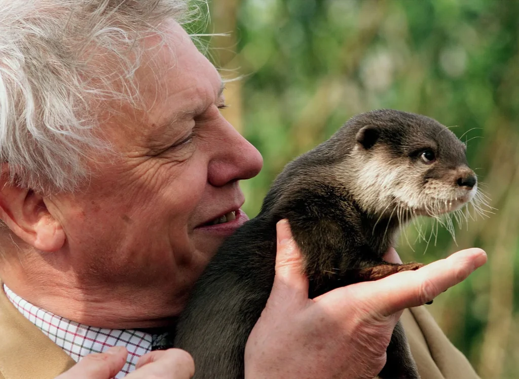 100th birthday of famous naturalist David Attenborough. Environment