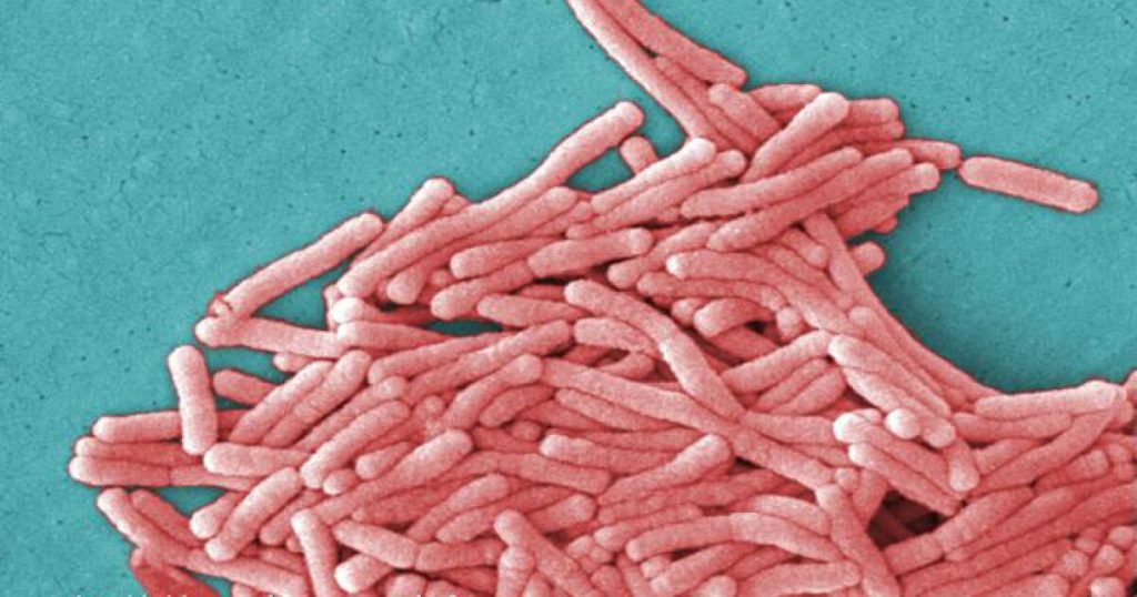 19 cases of Legionella infection linked to Kaiser Bay Area hospital