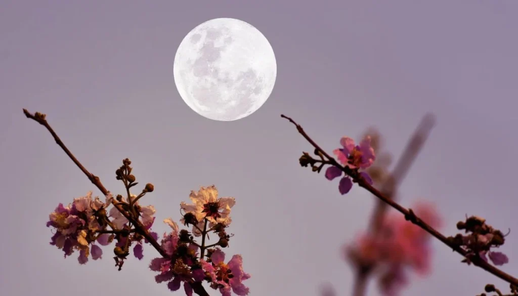 4 luckiest zodiac signs of this month