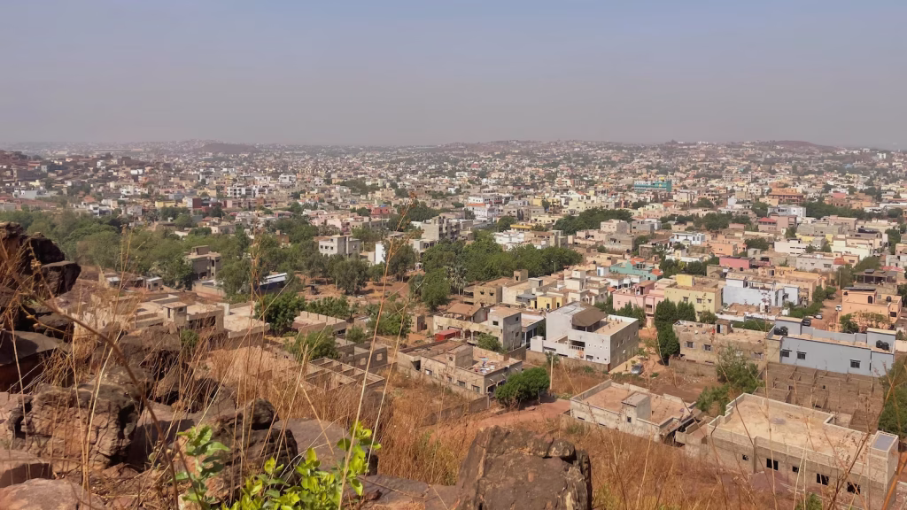 Armed men in Mali have kidnapped a former minister and junta critic, his family says