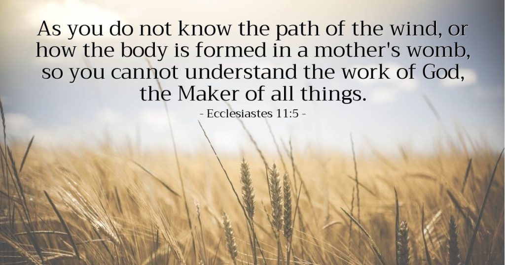 Ecclesiastes 11:5 — Verse of the Day for 05/15/2026