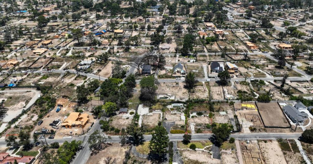 Efforts to save dying and disappearing trees in LA's burn scars