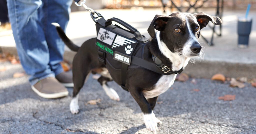 HUD moves to limit assistance animals for tenants with disabilities in public housing
