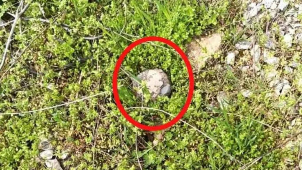 How Putin is killing children with toy-like 'gingerbread' Mines dropped from the sky to destroy Ukrainian cities