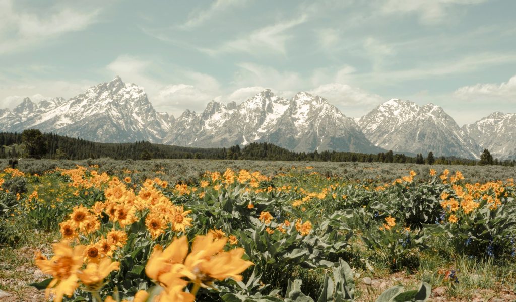 Imitating God's Forgiveness